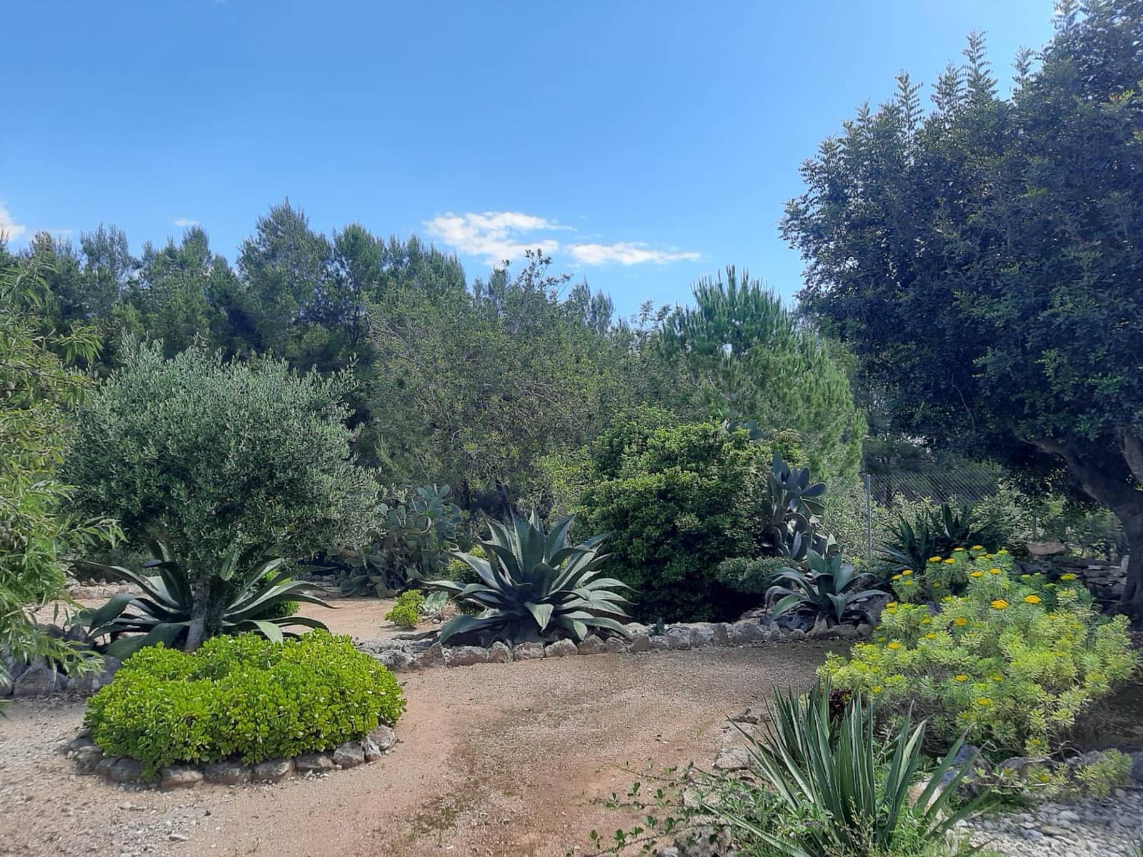 4 bedroom Finca/Country House for sale in Sant Jordi with pool garage - € 399,000 (Ref: 9634506)