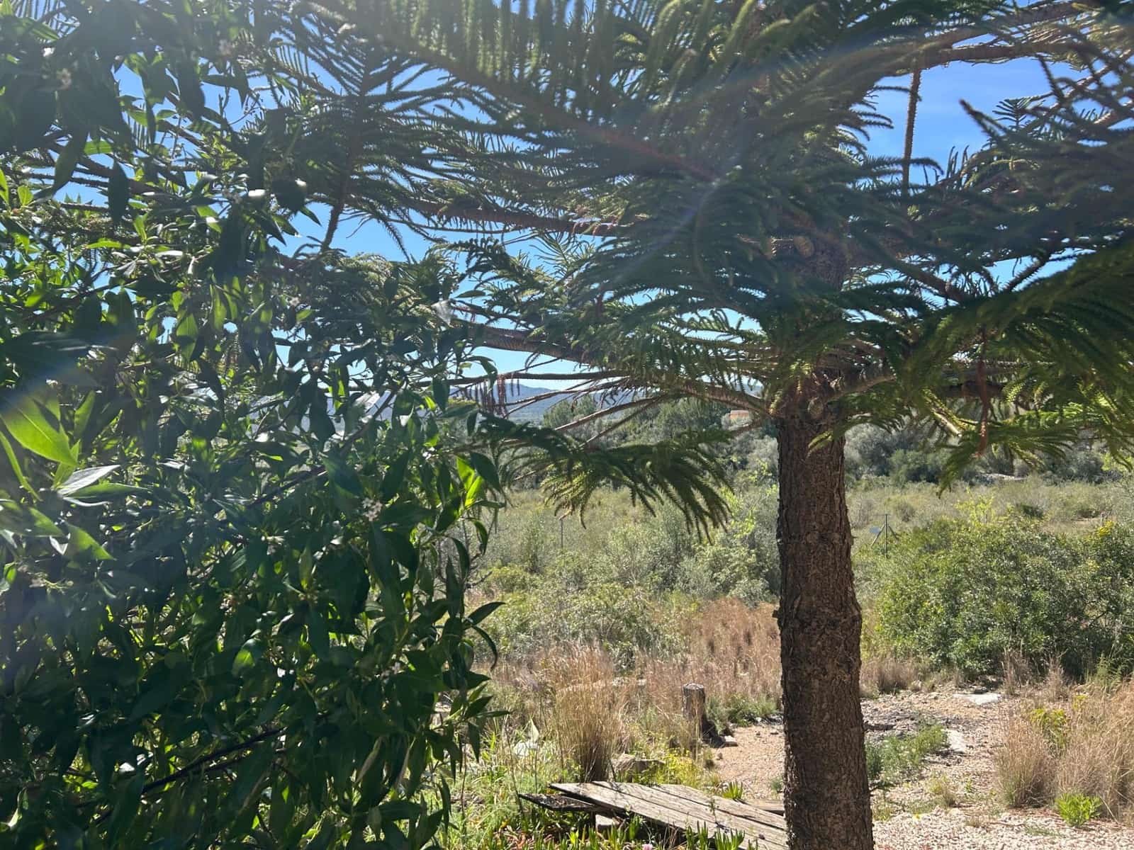 4 bedroom Villa for sale in Calig with pool garage - € 525,000 (Ref: 9741879)