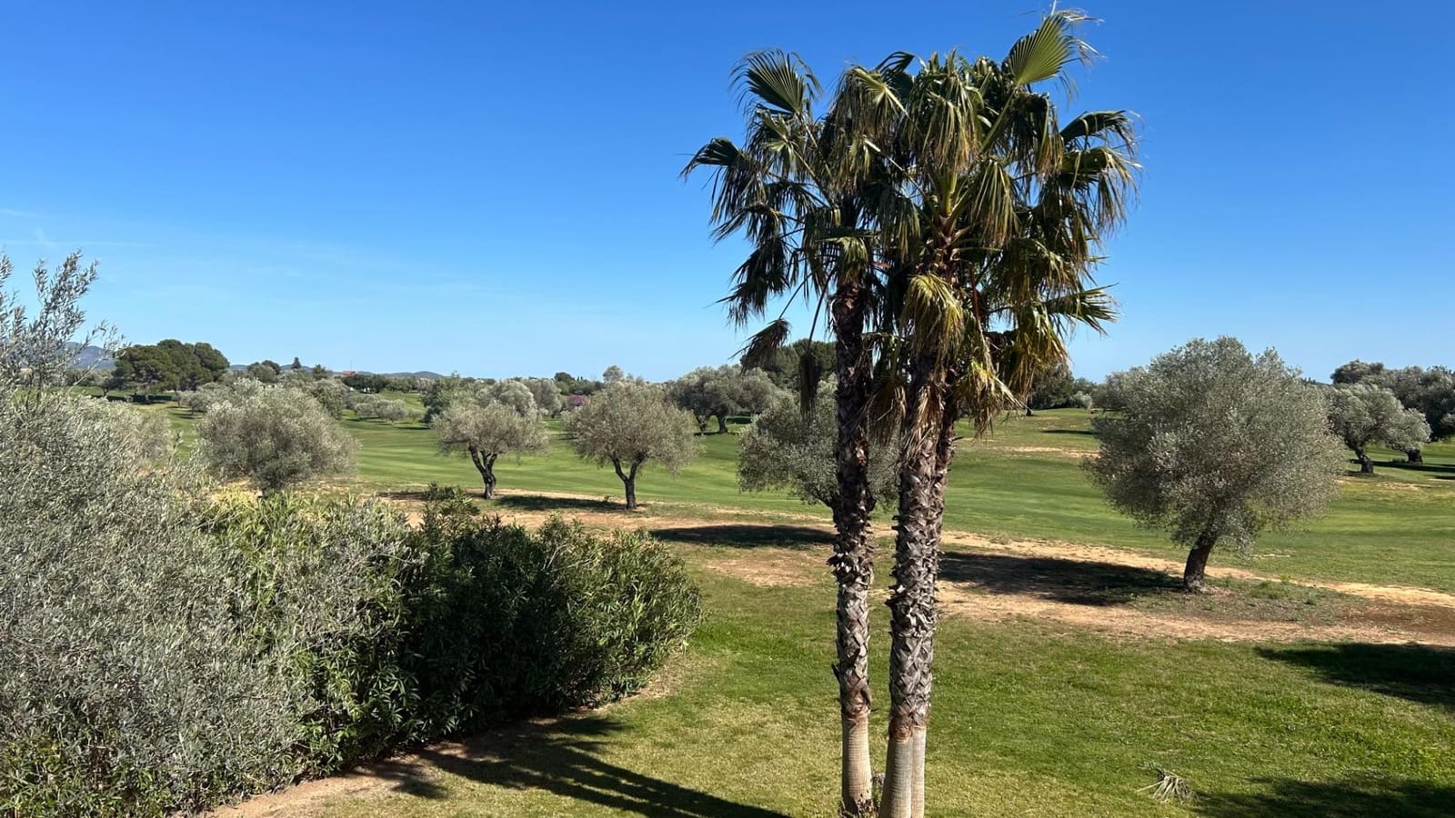 Adosado de 2 habitaciones en Sant Jordi en venta con piscina - 219.000 € (Ref: 9741880)