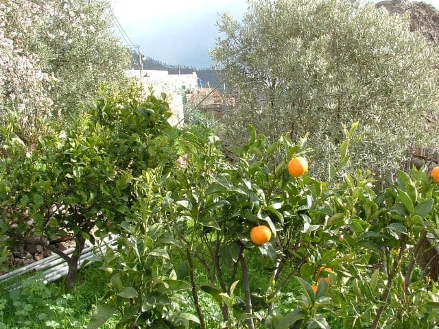 4 camera da letto Finca/Casa di Campagna in vendita in San Bartolome de Tirajana con garage - 220.000 € (Rif: 10161829)