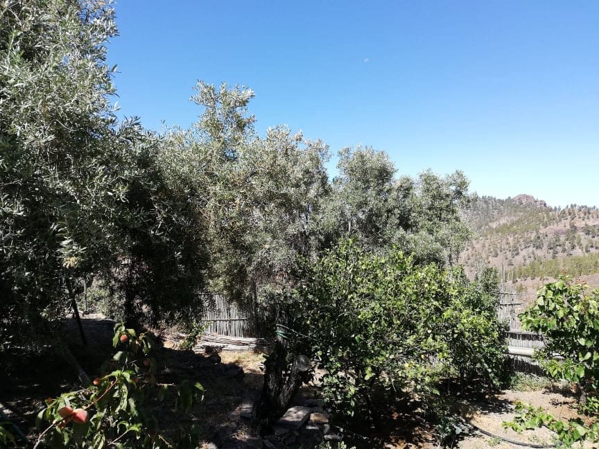 4 camera da letto Finca/Casa di Campagna in vendita in San Bartolome de Tirajana con garage - 220.000 € (Rif: 10161829)