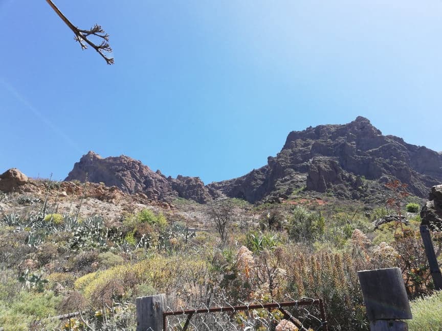 4 slaapkamer Finca/Landhuis te koop in San Bartolome de Tirajana met garage - € 220.000 (Ref: 9298846)