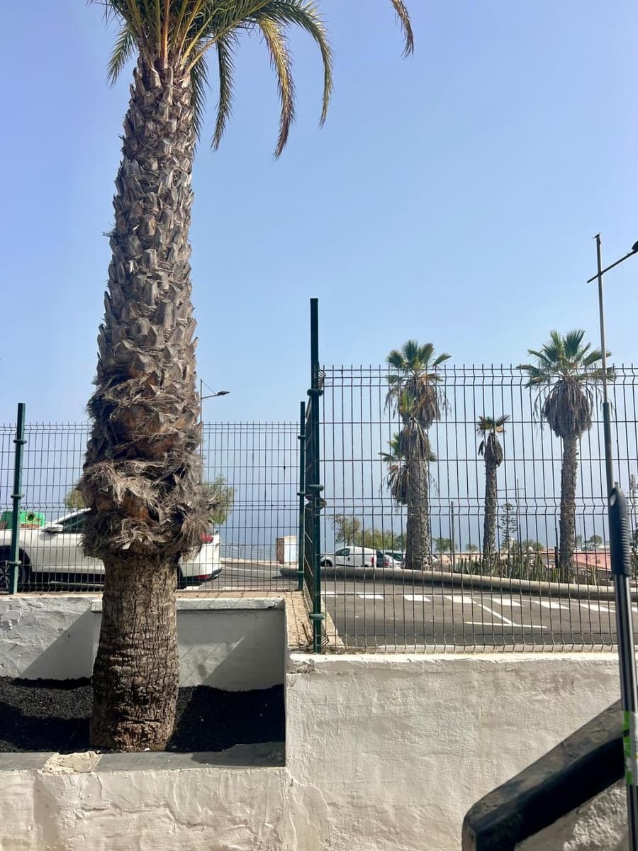 1 sypialnia Apartament na sprzedaż w Puerto Rico z basenem - 191 000 € (Ref: 9386632)