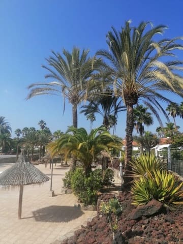 Bungalow de 1 chambre à louer à Maspalomas, San Bartolomé de Tirajana avec piscine garage - 975 € (Ref: 9919042)