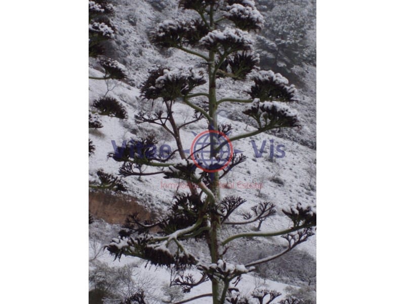 4 Zimmer Finca/Landgut zu verkaufen in Lorca mit Pool Garage - 180.000 € (Ref: 9646048)