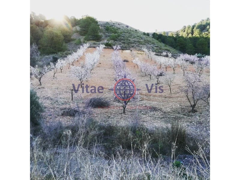 4 Zimmer Finca/Landgut zu verkaufen in Lorca mit Pool Garage - 180.000 € (Ref: 9646048)