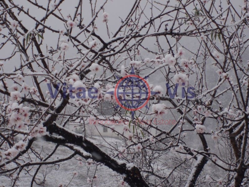 4 Zimmer Finca/Landgut zu verkaufen in Lorca mit Pool Garage - 180.000 € (Ref: 9646048)