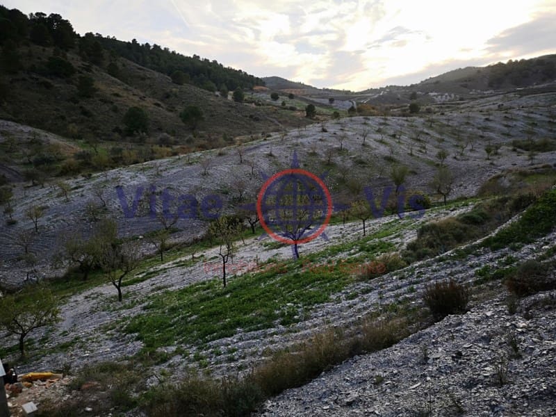 4 Zimmer Finca/Landgut zu verkaufen in Lorca mit Pool Garage - 180.000 € (Ref: 9646048)