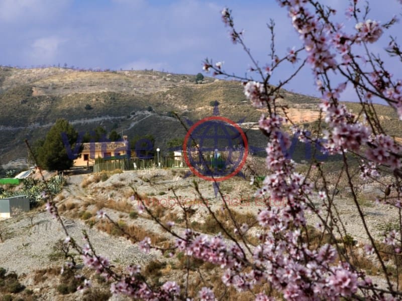 4 Zimmer Finca/Landgut zu verkaufen in Lorca mit Pool Garage - 180.000 € (Ref: 9646048)