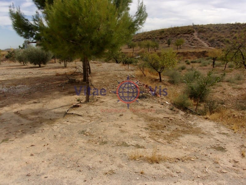 4 Zimmer Finca/Landgut zu verkaufen in Lorca - 145.000 € (Ref: 9646055)