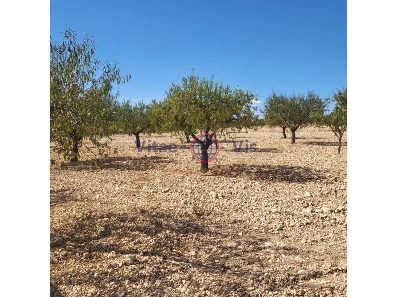 3 soveværelse Finca/Landehus til salg i Lorca med swimmingpool garage - € 399.000 (Ref: 9666281)