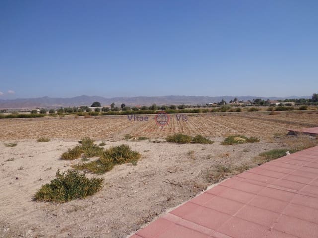Building Plot for sale in Lorca - € 56,500 (Ref: 9695205)