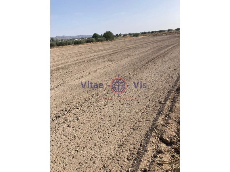 Building Plot for sale in Lorca - € 95,000 (Ref: 9738412)