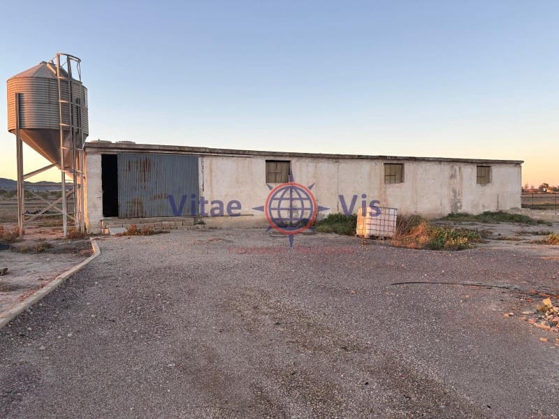 Commercial for sale in Lorca - € 100,000 (Ref: 9738413)