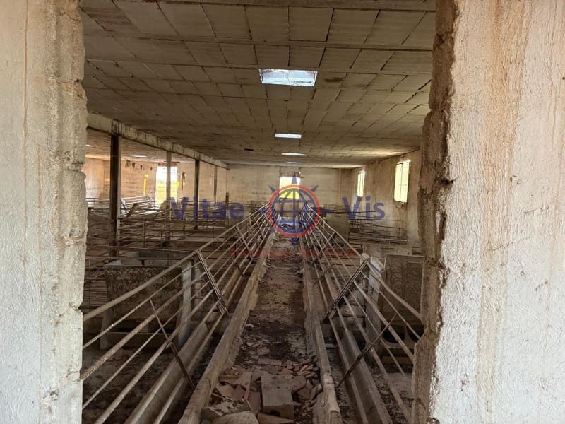 Commercial for sale in Lorca - € 100,000 (Ref: 9738413)