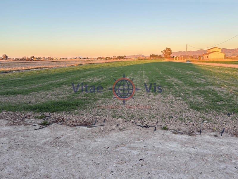 Commercial for sale in Lorca - € 100,000 (Ref: 9738413)