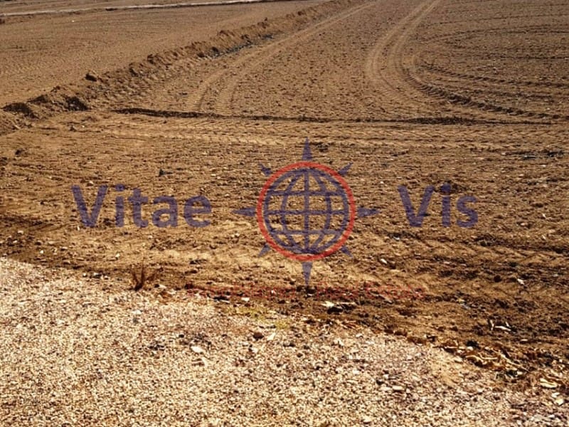 Byggegrund til salg i Lorca - € 115.000 (Ref: 9806316)