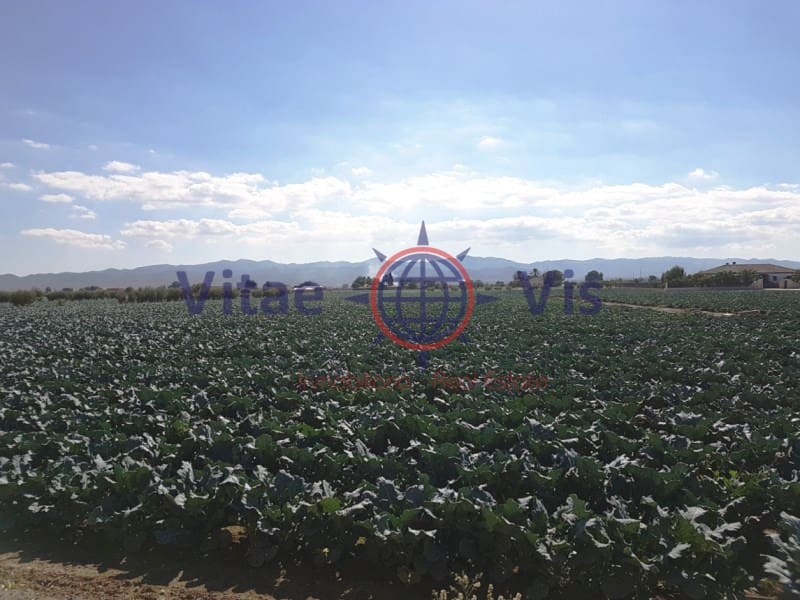 Building Plot for sale in Lorca - € 67,000 (Ref: 9811437)