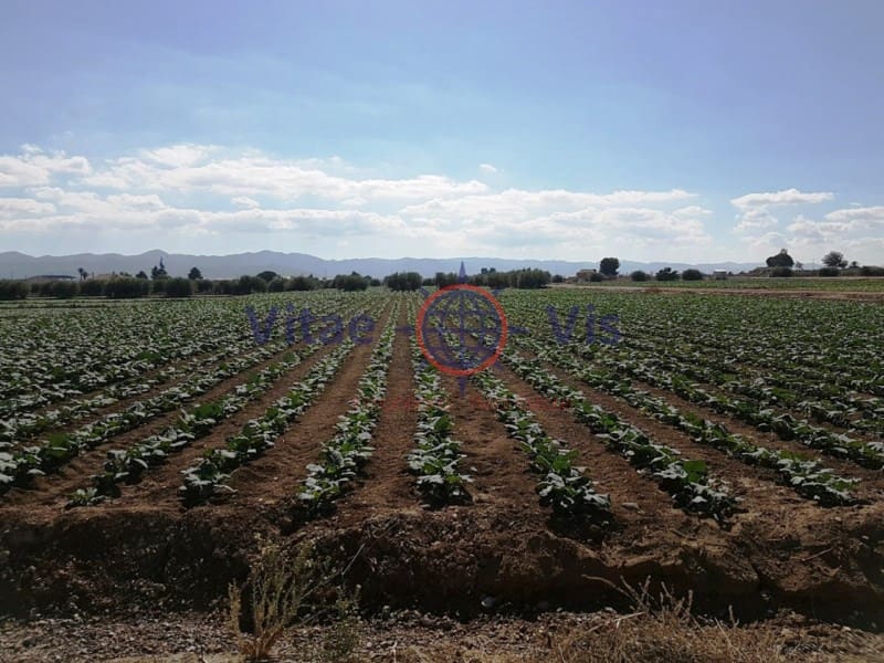 Building Plot for sale in Lorca - € 67,000 (Ref: 9811437)