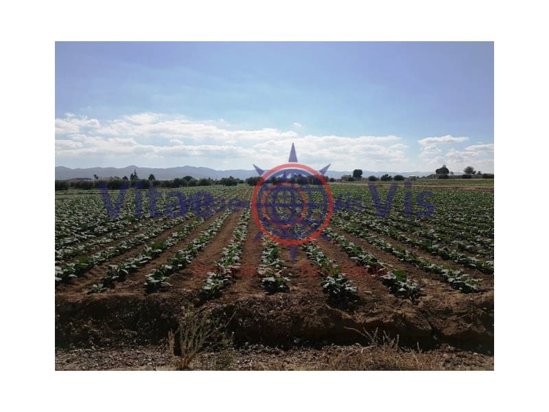 Building Plot for sale in Lorca - € 67,000 (Ref: 9811437)