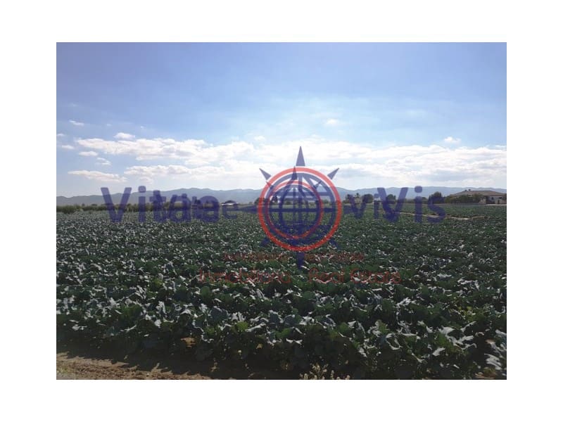 Building Plot for sale in Lorca - € 67,000 (Ref: 9811437)