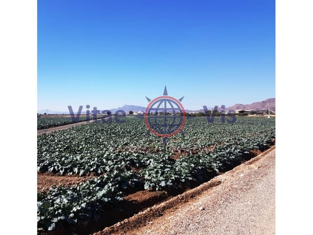 Building Plot for sale in Lorca - € 67,000 (Ref: 9811437)