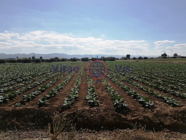 Building Plot for sale in Lorca - € 67,000 (Ref: 9811437)