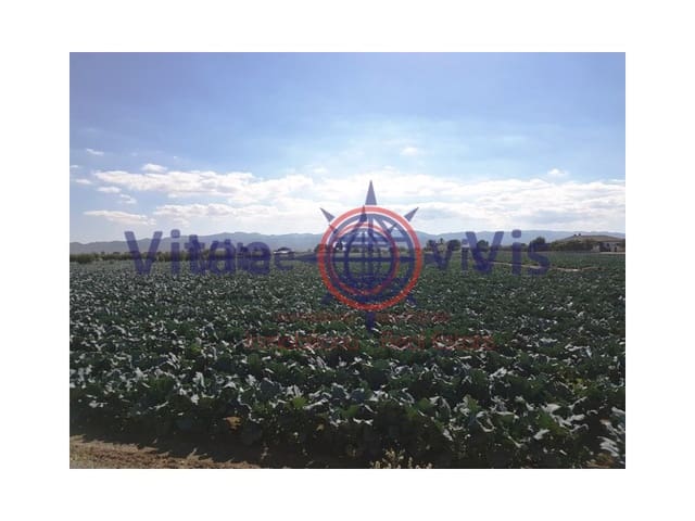Building Plot for sale in Lorca - € 67,000 (Ref: 9811437)