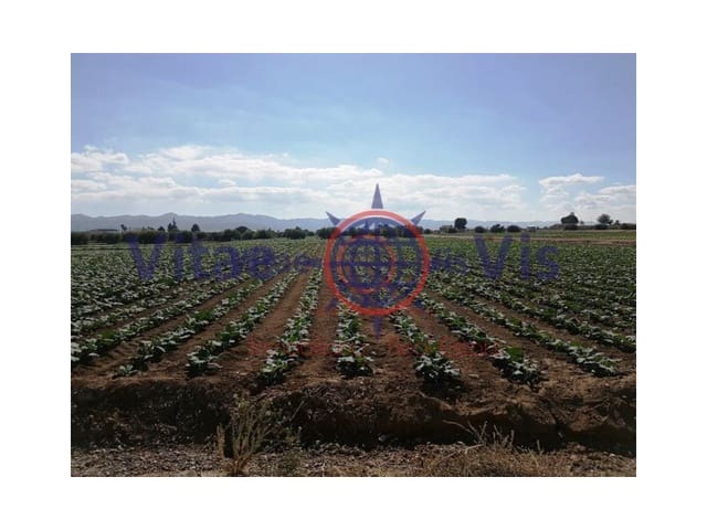 Building Plot for sale in Lorca - € 67,000 (Ref: 9811437)