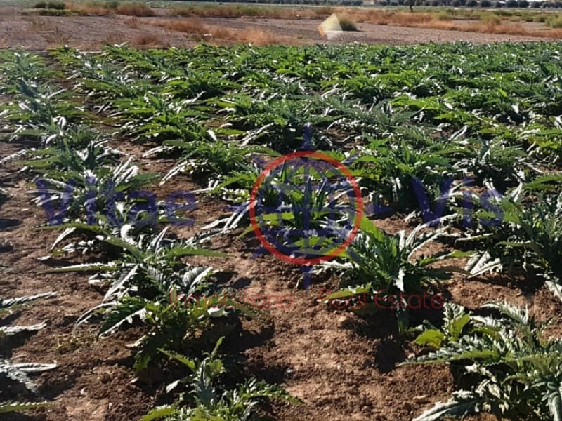 Building Plot for sale in Lorca - € 67,000 (Ref: 9811437)