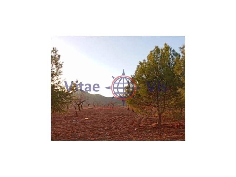 2 slaapkamer Finca/Landhuis te koop in Lorca - € 205.000 (Ref: 9849390)