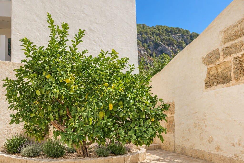 3 slaapkamer Huis te koop in Pollensa / Pollenca - € 425.000 (Ref: 10135861)