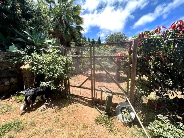 5 slaapkamer Finca/Landhuis te koop in La Orotava - € 1.100.000 (Ref: 10012339)