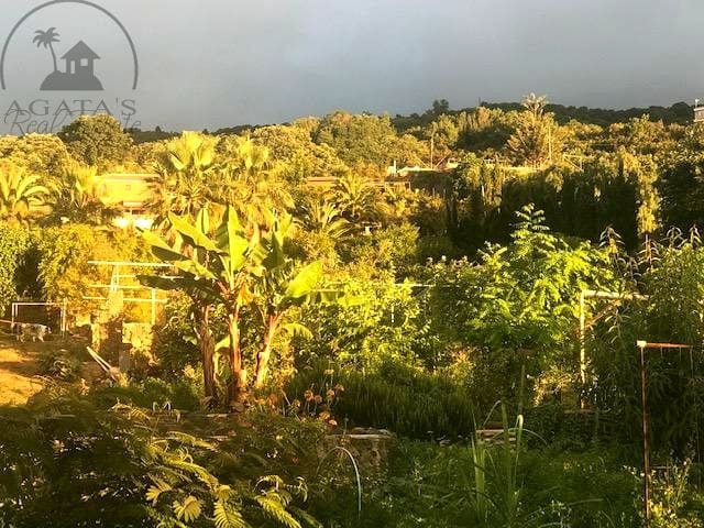 5 slaapkamer Finca/Landhuis te koop in La Orotava - € 1.100.000 (Ref: 10012339)