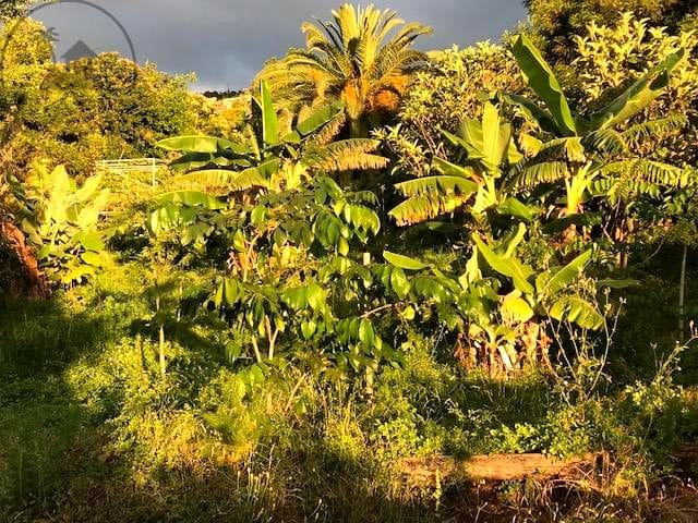 5 slaapkamer Finca/Landhuis te koop in La Orotava - € 1.100.000 (Ref: 10012339)