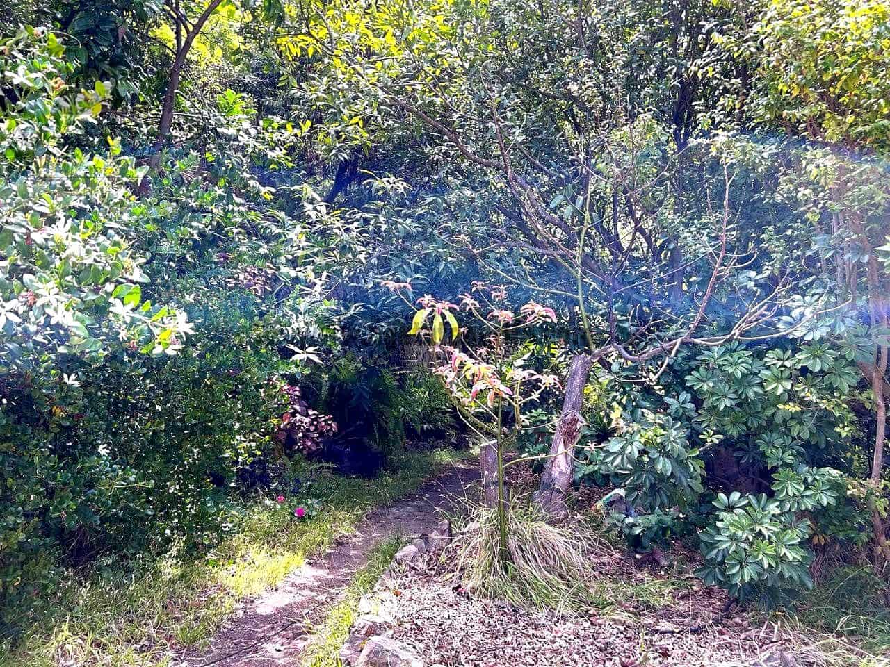 1 makuuhuone Maalaistalo myytävänä paikassa Vallehermoso - 379 000 € (Ref: 10024563)