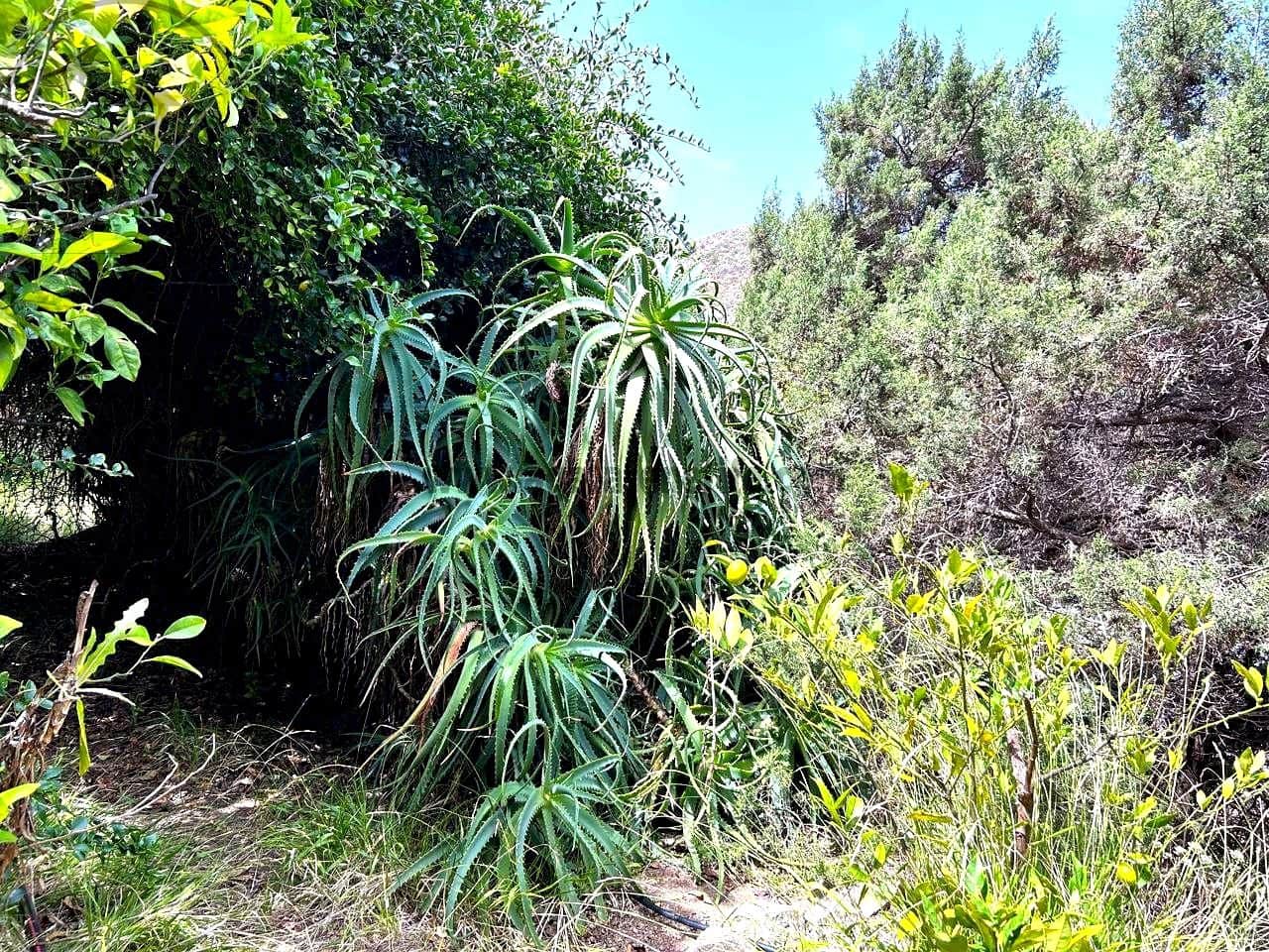 1 makuuhuone Maalaistalo myytävänä paikassa Vallehermoso - 379 000 € (Ref: 10024563)