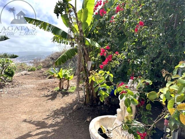 2 bedroom Finca/Country House for rent in Icod de los Vinos with garage - € 840 (Ref: 10042332)