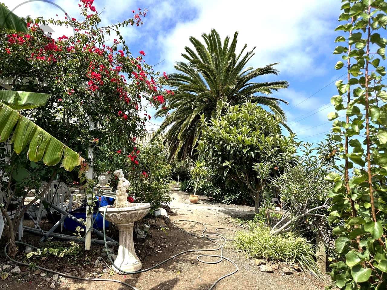 2 bedroom Finca/Country House for rent in Icod de los Vinos with garage - € 840 (Ref: 10042332)