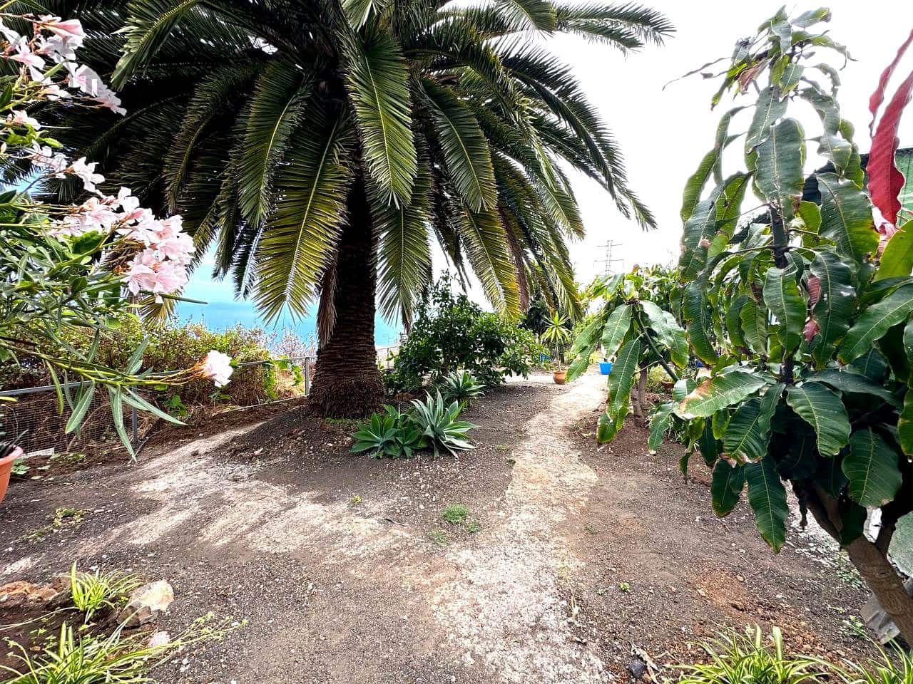 2 bedroom Finca/Country House for rent in Icod de los Vinos with garage - € 840 (Ref: 10042332)