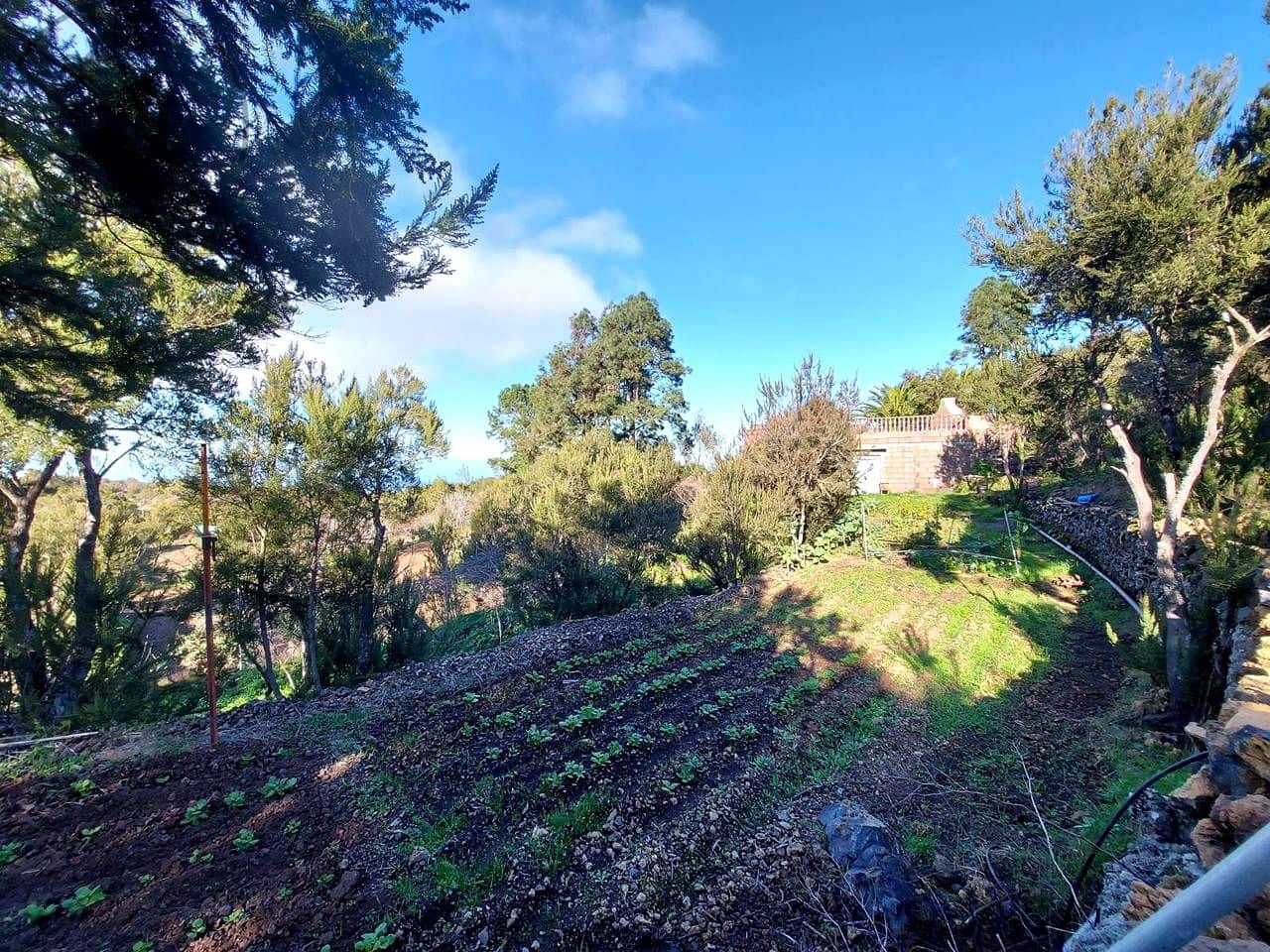 2 chambre Finca/Maison de Campagne à vendre à El Tanque - 325 000 € (Ref: 10099627)