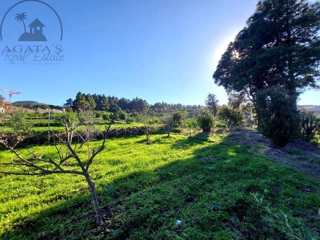 2 chambre Finca/Maison de Campagne à vendre à El Tanque - 325 000 € (Ref: 10099627)
