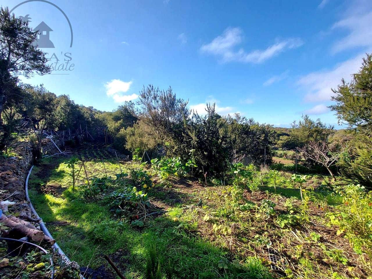 2 chambre Finca/Maison de Campagne à vendre à El Tanque - 325 000 € (Ref: 10099627)