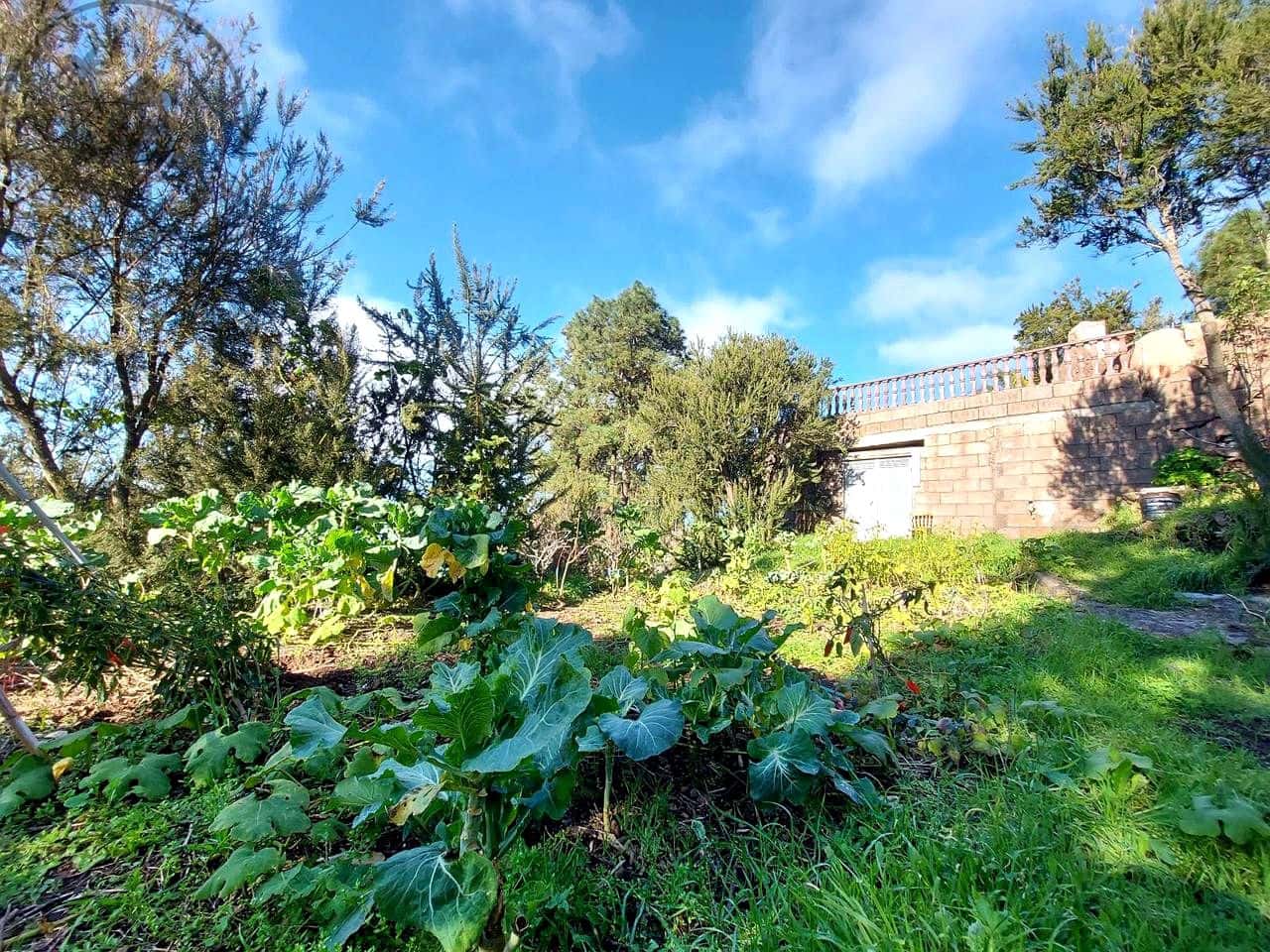 2 chambre Finca/Maison de Campagne à vendre à El Tanque - 325 000 € (Ref: 10099627)
