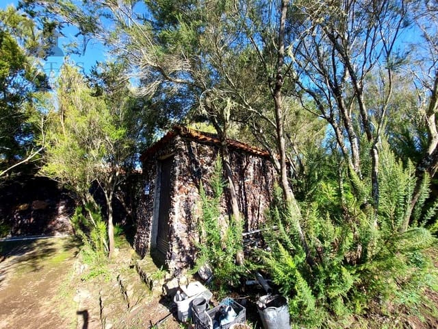 2 chambre Finca/Maison de Campagne à vendre à El Tanque - 325 000 € (Ref: 10099627)