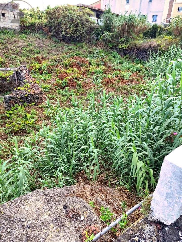 Mark till salu i El Tanque - 55 000 € (Ref: 10127627)