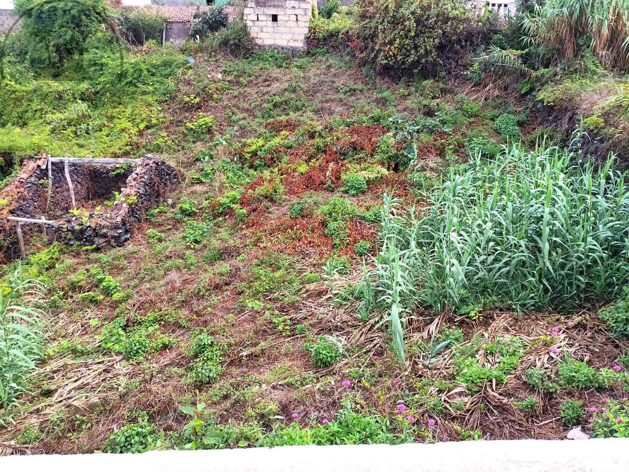 Mark till salu i El Tanque - 55 000 € (Ref: 10127627)