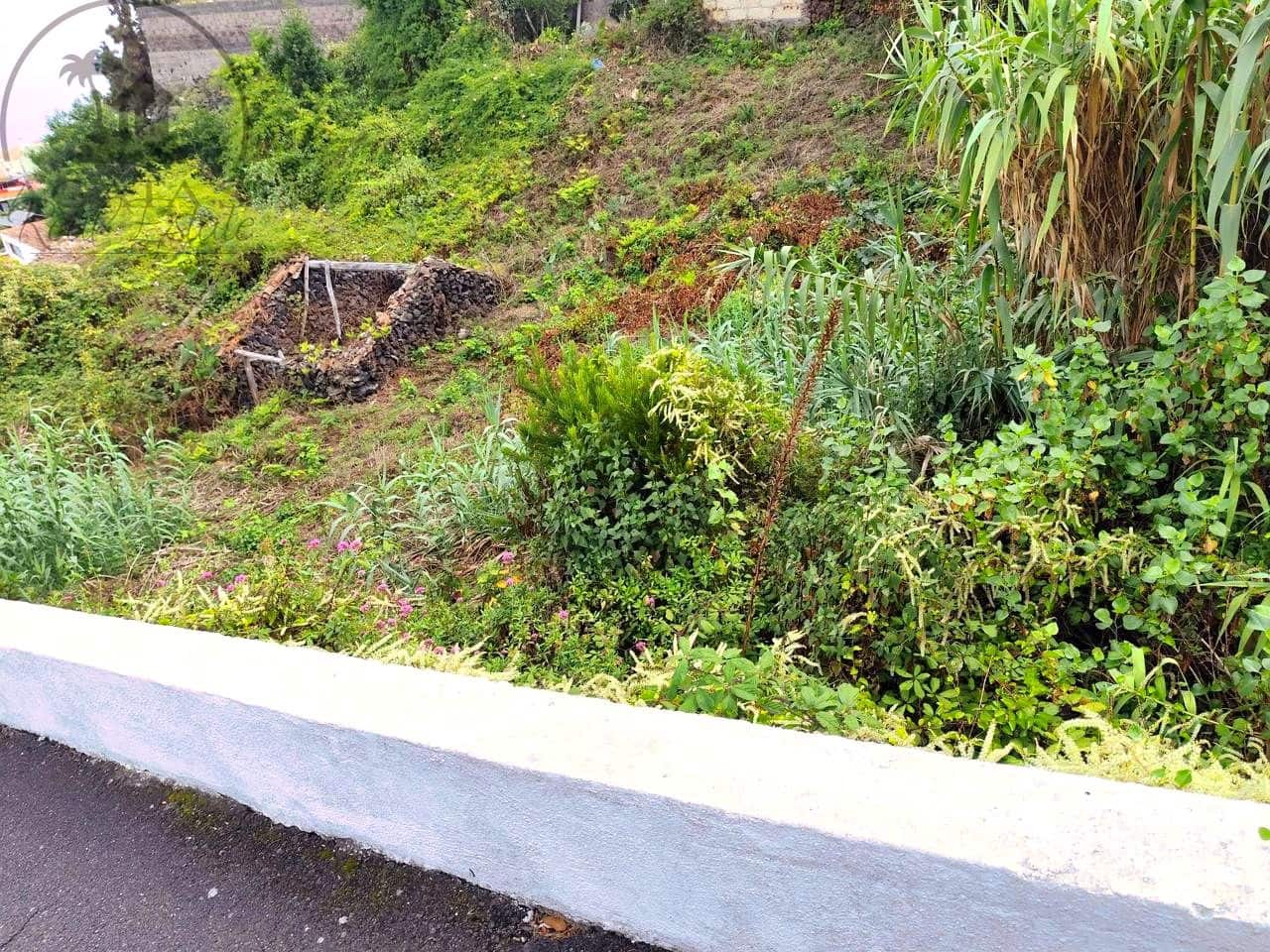 Mark till salu i El Tanque - 55 000 € (Ref: 10127627)