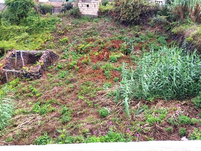 Mark till salu i El Tanque - 55 000 € (Ref: 10127627)