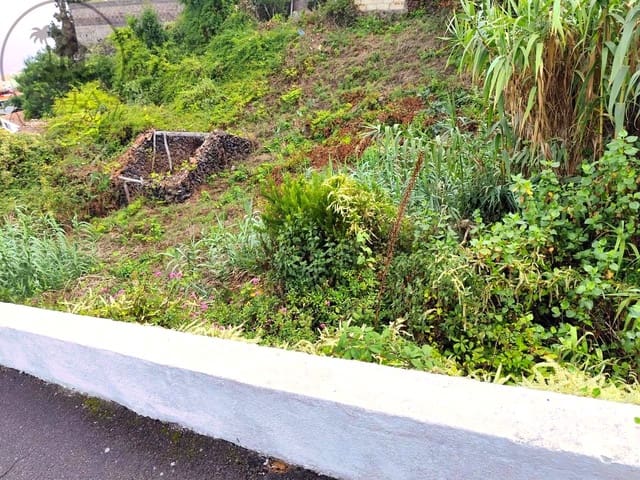 Mark till salu i El Tanque - 55 000 € (Ref: 10127627)